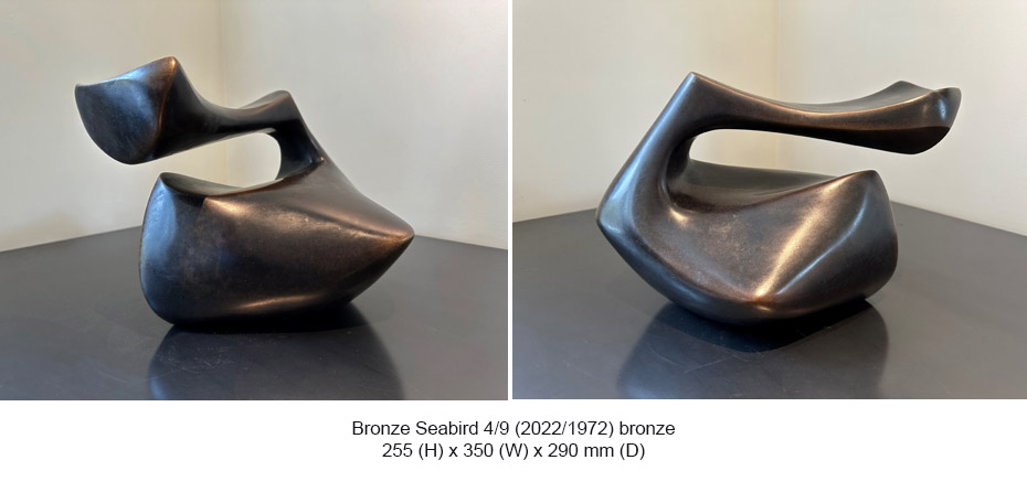 Tanya Ashken - Bronze Seabird