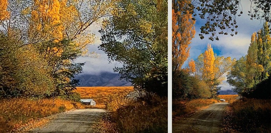 200505 Autumn at Thurlby 1957 Speargrass Flat CO orig colour slide 445 x 342 762 x 627 s