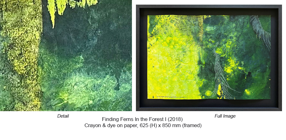 CH - Crayon & dye - Finding Ferns I