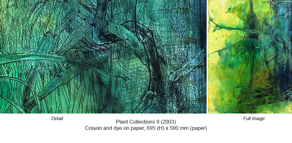 CH - Crayon & dye - Plant Collections II unframed 2