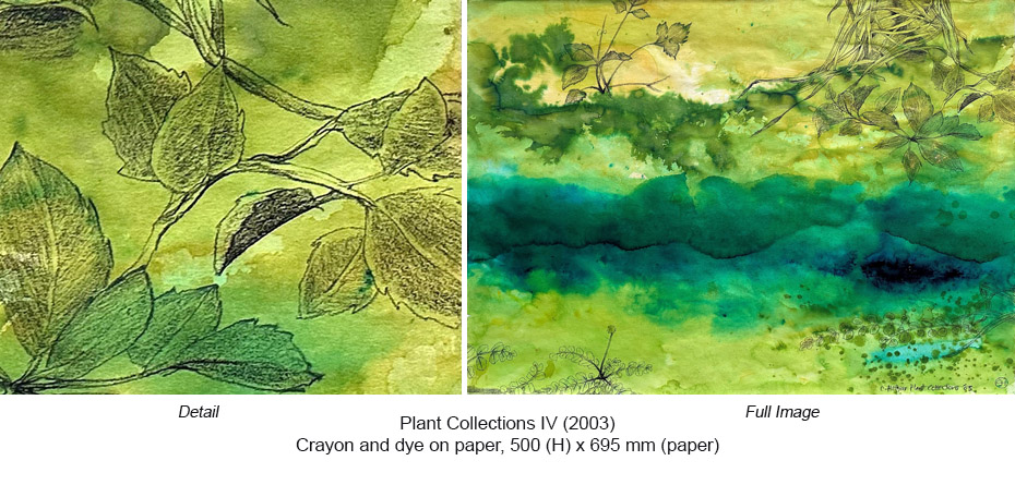 CH - Crayon & dye - Plant Collections IV unframed