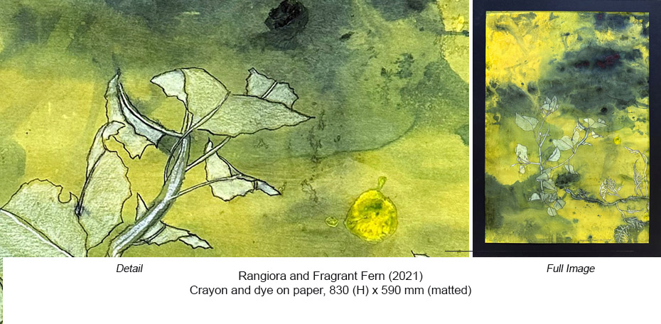 CH - Crayon & dye - Rangiora and Fragrant Fern