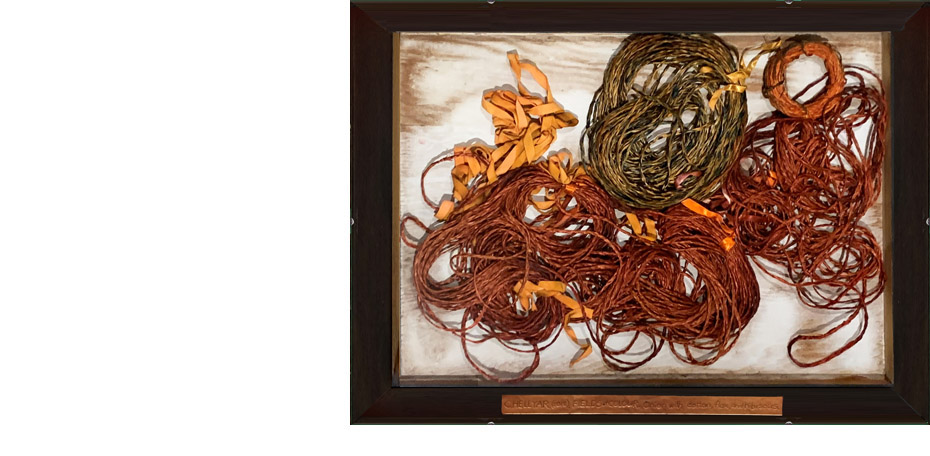 Onion with cotton, flax & hibiscus 450 x 600 new