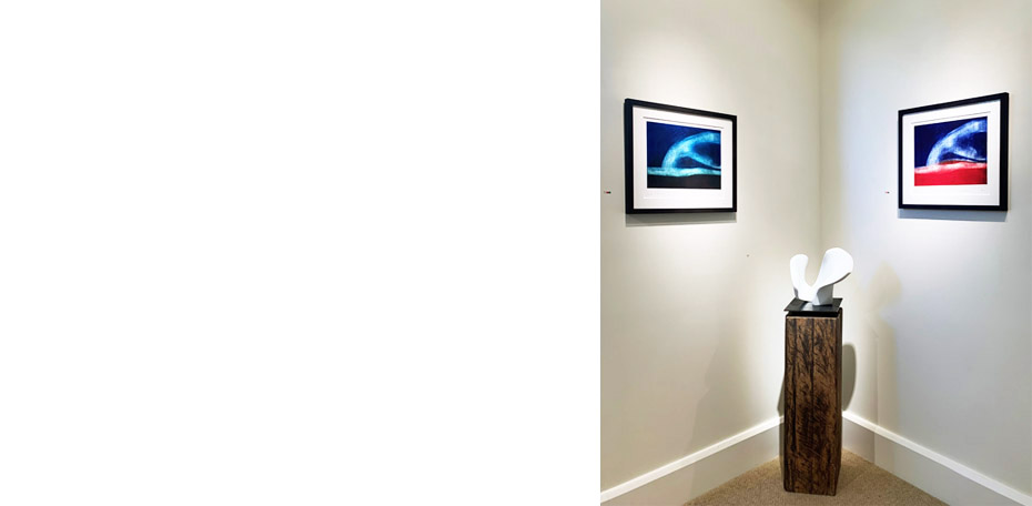 11a Gallery Whale Wave Corner new
