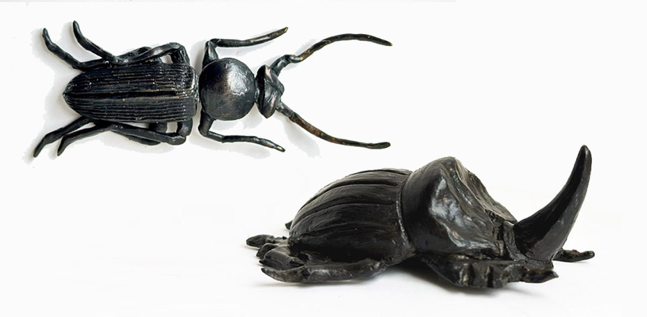 230109 - SL Beetles