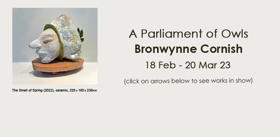 230209 - BC A Parliament of Owls Portfolio front page
