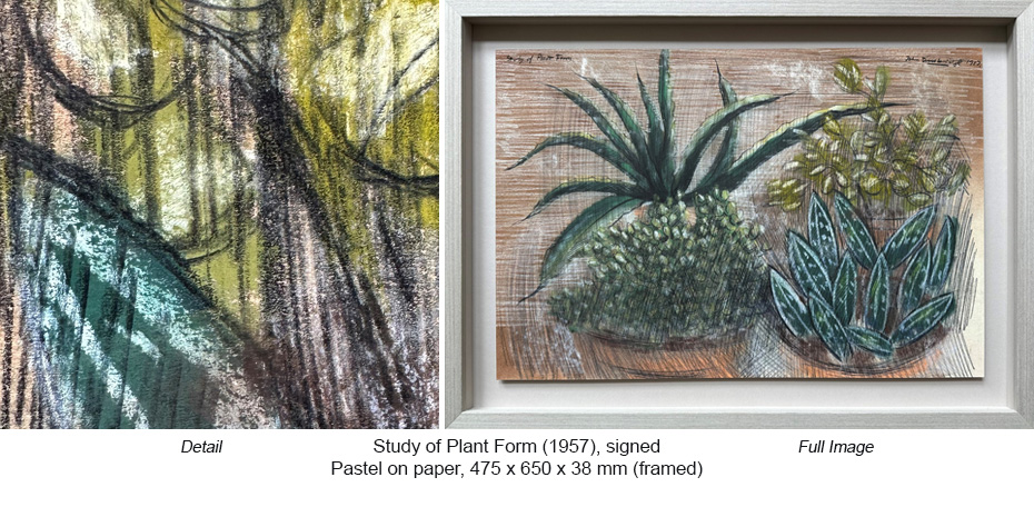 251026 - JD Pastels - Study of Plant Form (1957)