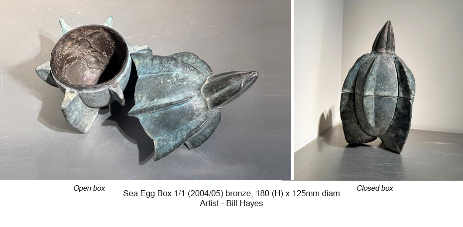 B&W and Bronze - BH - Sea Egg Box