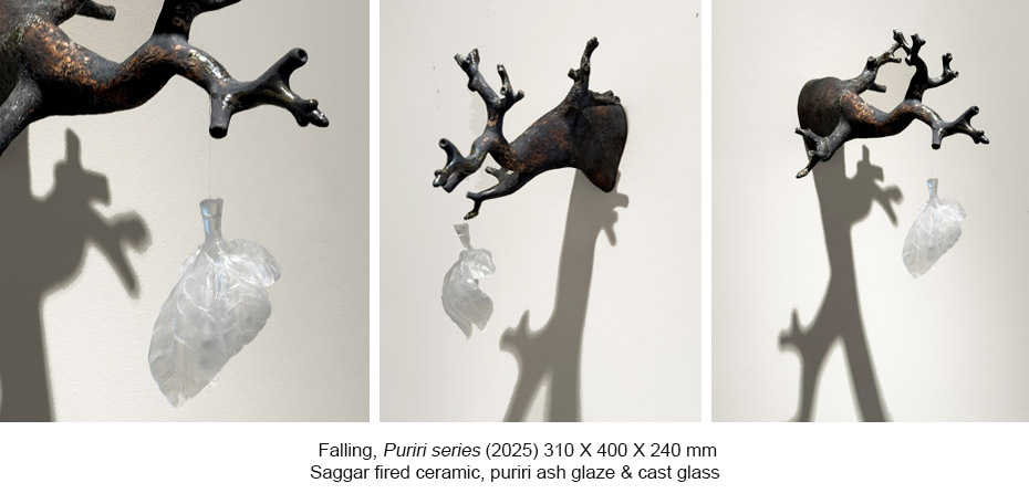 251019 - BG - Puriri - Falling a