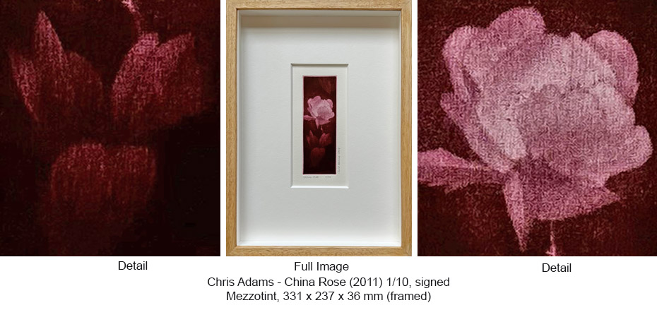 250301 CA TIZ - CA Works - Flowers - China Rose (2011) 1 of 10 331 x 237 x 36 (fr)