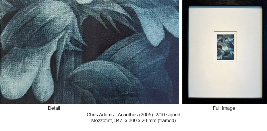 250411 CA TIZ - CA Works - Flowers - Acanthis 2005 2 of 10 347 x 300 x 20