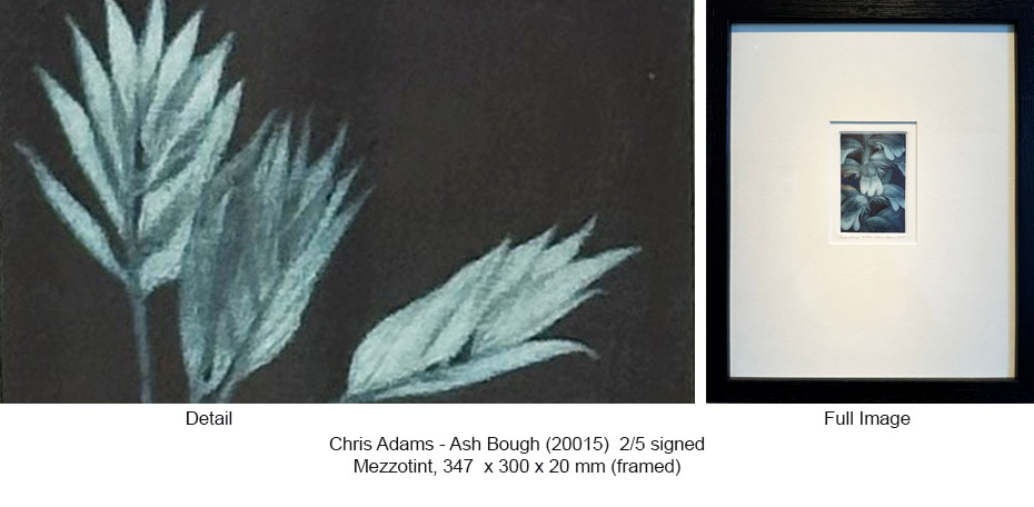 250411 CA TIZ - CA Works - Flowers - Ash Bough 2015 2 of 5 347 x 300 x 20