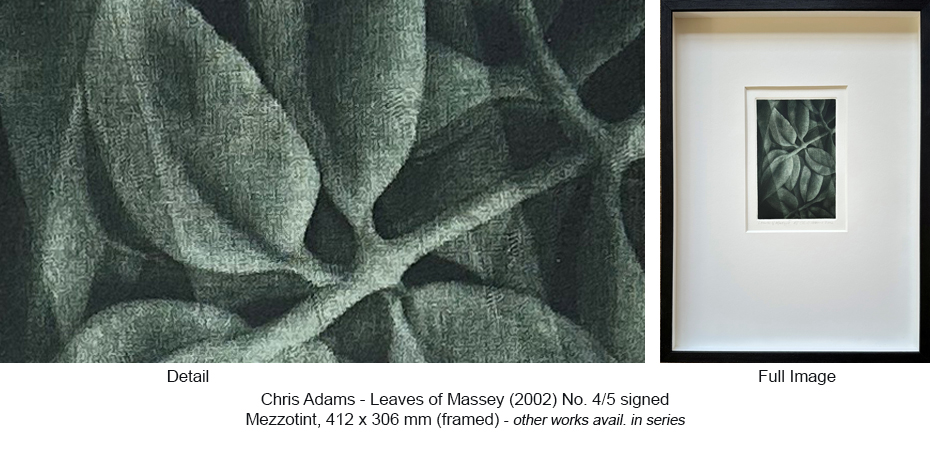250602 CA TIZ - CA Works - Flowers - Leaves of Massey II Olive