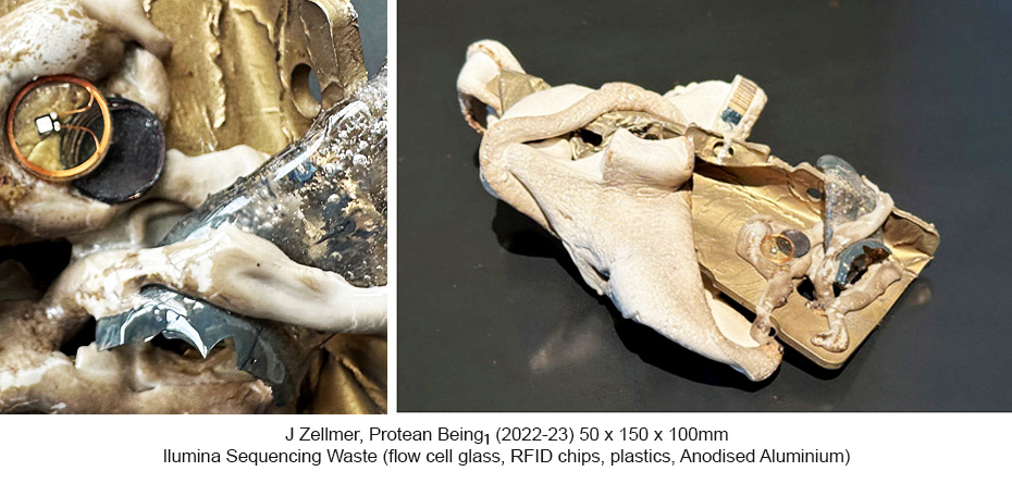 JZ - Protean Beings 1