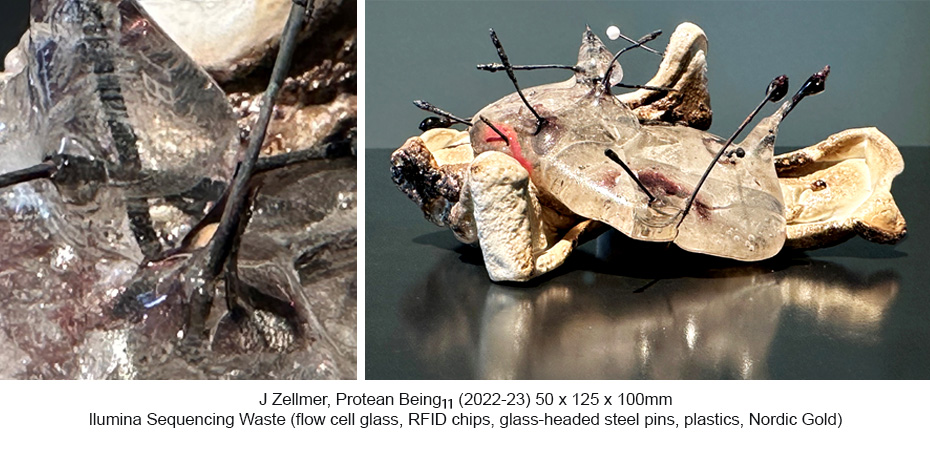 JZ - Protean Beings 11