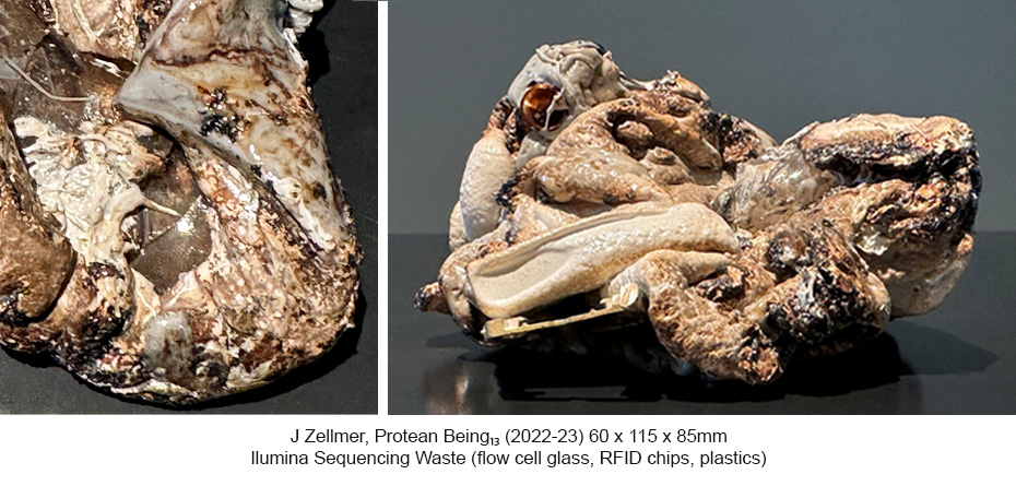 JZ - Protean Beings 13