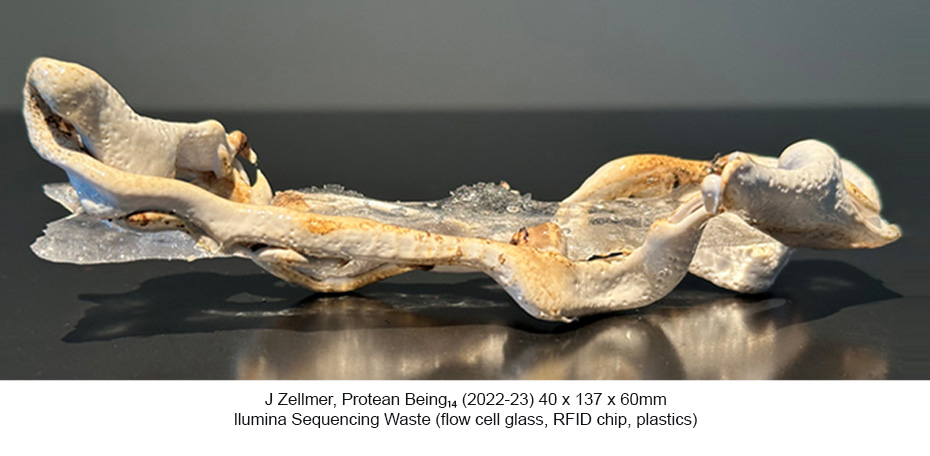 JZ - Protean Beings 14