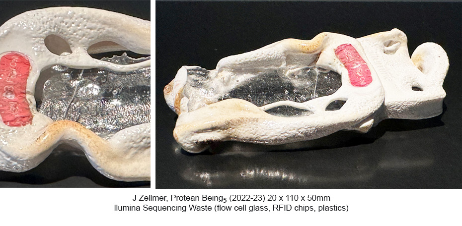 JZ - Protean Beings 5