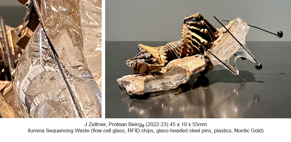 JZ - Protean Beings 8