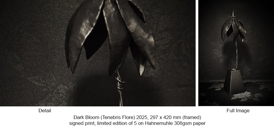 250625 - VG - Flower prints - Dark Bloom - 4
