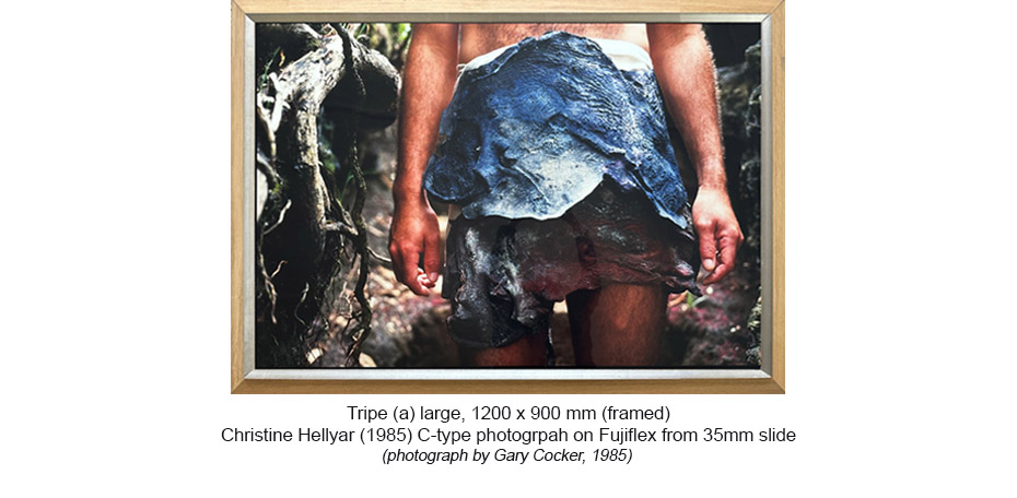 250929 - Aprons - Tripe a large