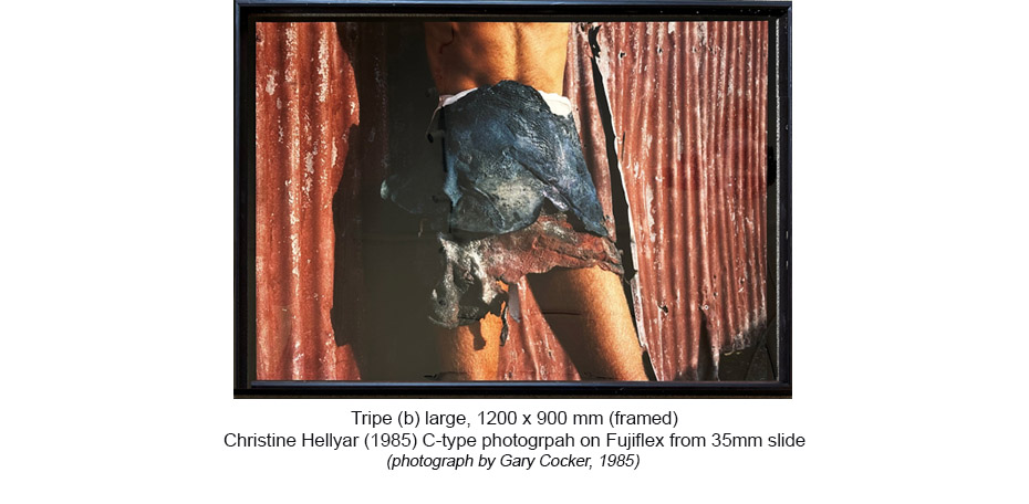 250929 - Aprons - Tripe b large