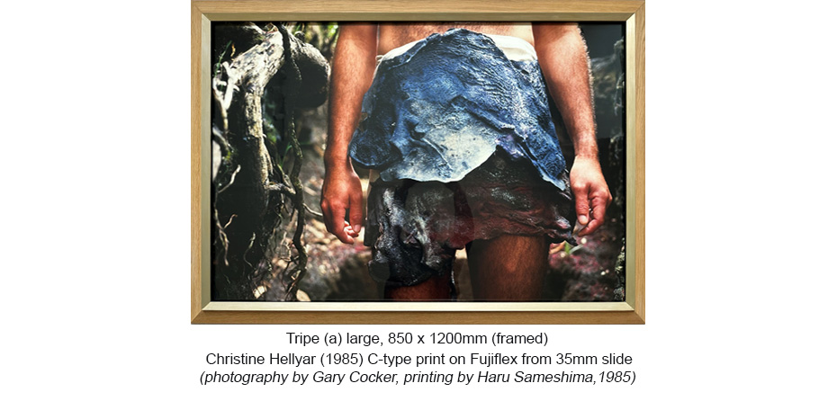251011 - CH - Aprons - Tripe a lg