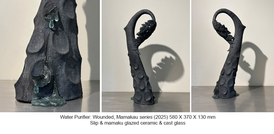 251017 - BG - Mamaku - Wounded Water Purifier