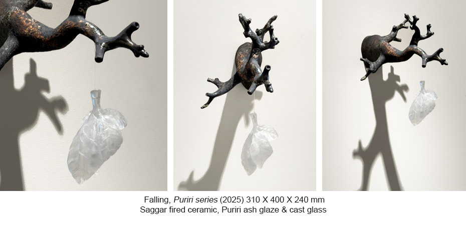 251017 - BG - Puriri - Falling