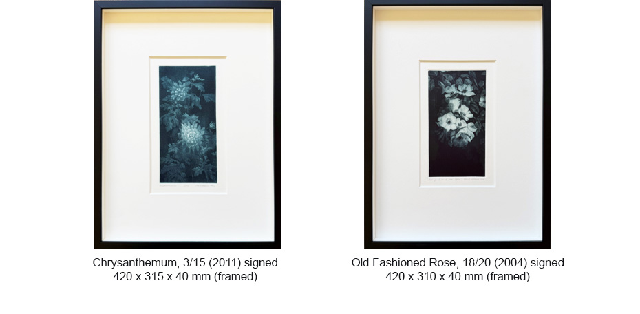 251127 - 9 Creatives - CA OFS & CHrysanthemum