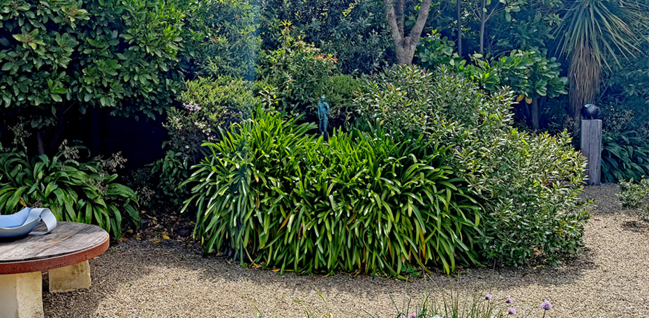 251206 - OL - Rear Yard 4c