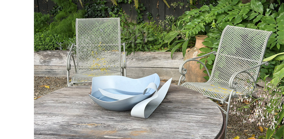 251206 - OL - Rear Yard 5