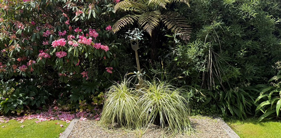 251206 - OL - Rear Yard 6