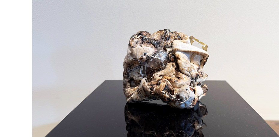 260115 - JZ - Hallway 4g