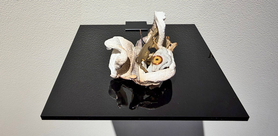 260115 - JZ - Hallway 6d