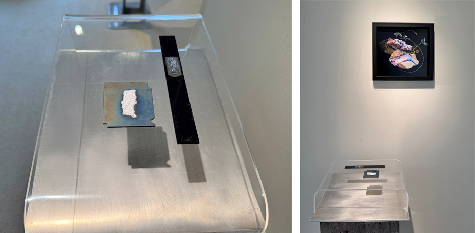 260115 - JZ - Main Gallery 11