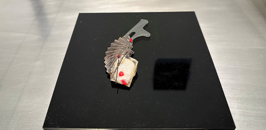 260115 - JZ - Main Gallery 19