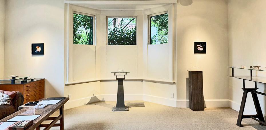 260115 - JZ - Main Gallery 1a