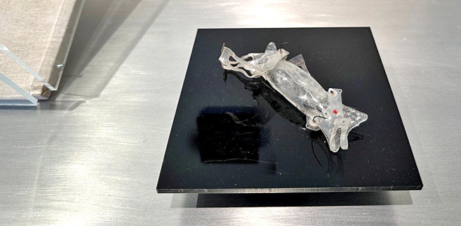 260115 - JZ - Main Gallery 20a