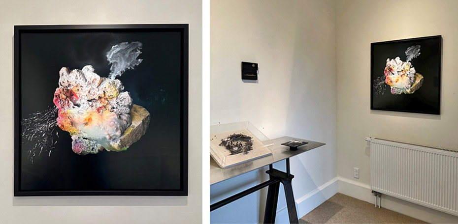 260115 - JZ - Main Gallery 24