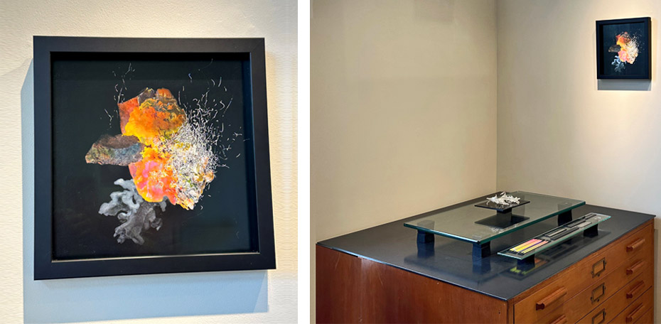 260115 - JZ - Main Gallery 8c