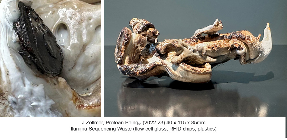 JZ - Protean Being 10a