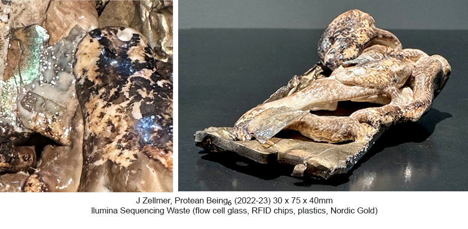 JZ - Protean Being 6a