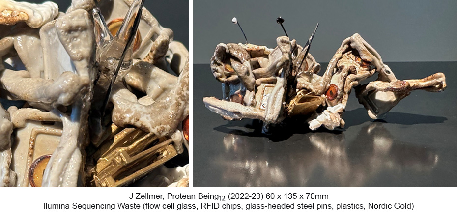 JZ - Protean Beings 12